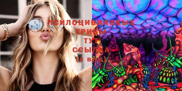 jwh Бугульма