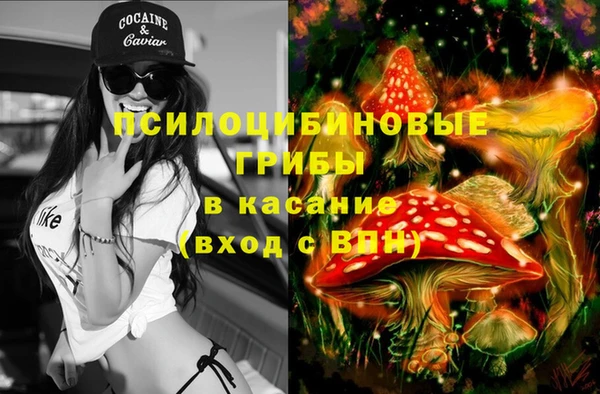 круглые Бородино