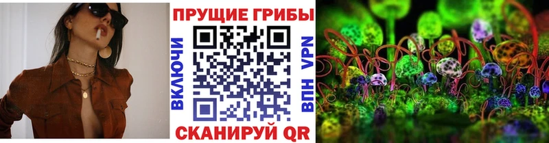 hydra как войти  Старица  мориарти формула  купить   Псилоцибиновые грибы Cubensis 